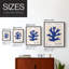 Matisse CLVII, reproduction encadrée - bois massif-1643822556-1643822559