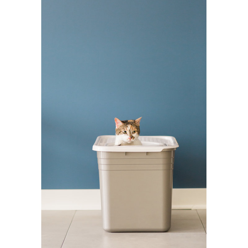 Gray and White Plastic Top Entry Cat Litter Box