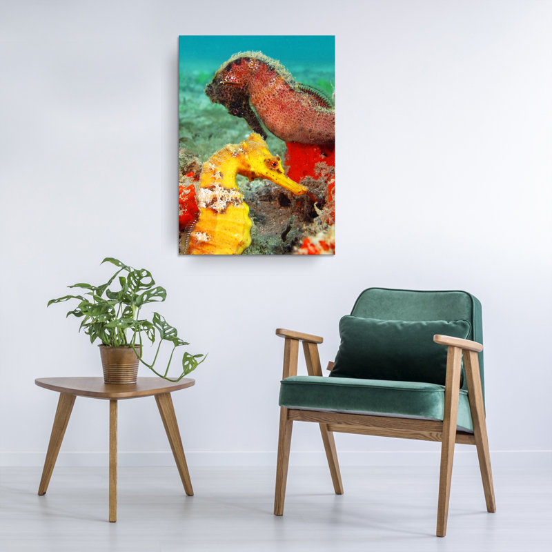Hippocampe par Christopher Doherty - reproduction de photo sur toile tendue