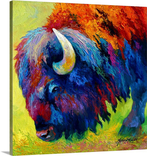 «Aigars Bison Portrait II» par Marion Rose, reproduction d'art sur toile, H 24 po x l 24 po x P 1,25 po