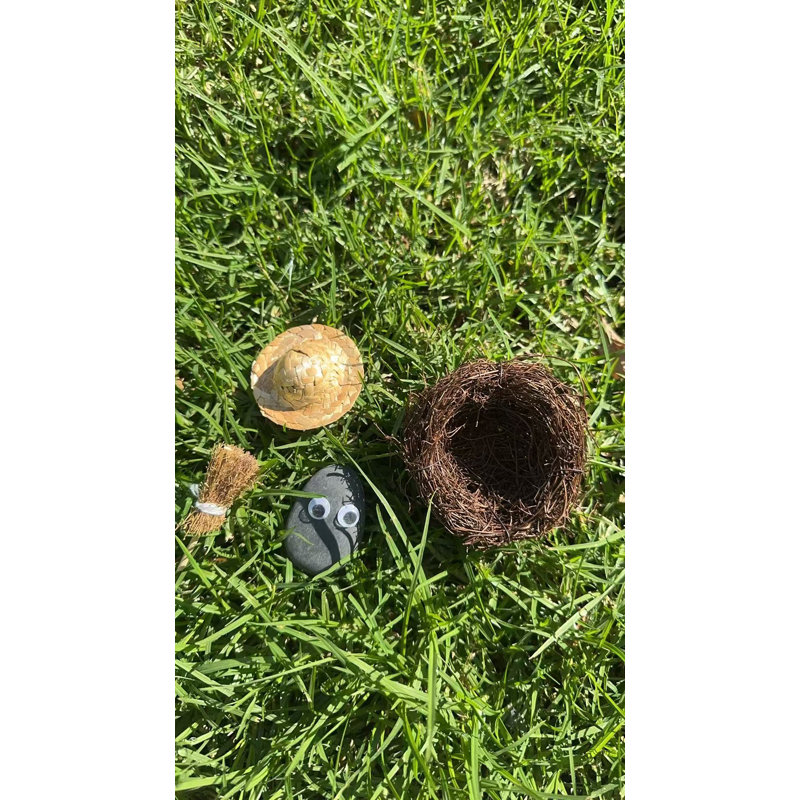 Pet Rock Natural Pebbles DIY Gift & Play Set with Accessories