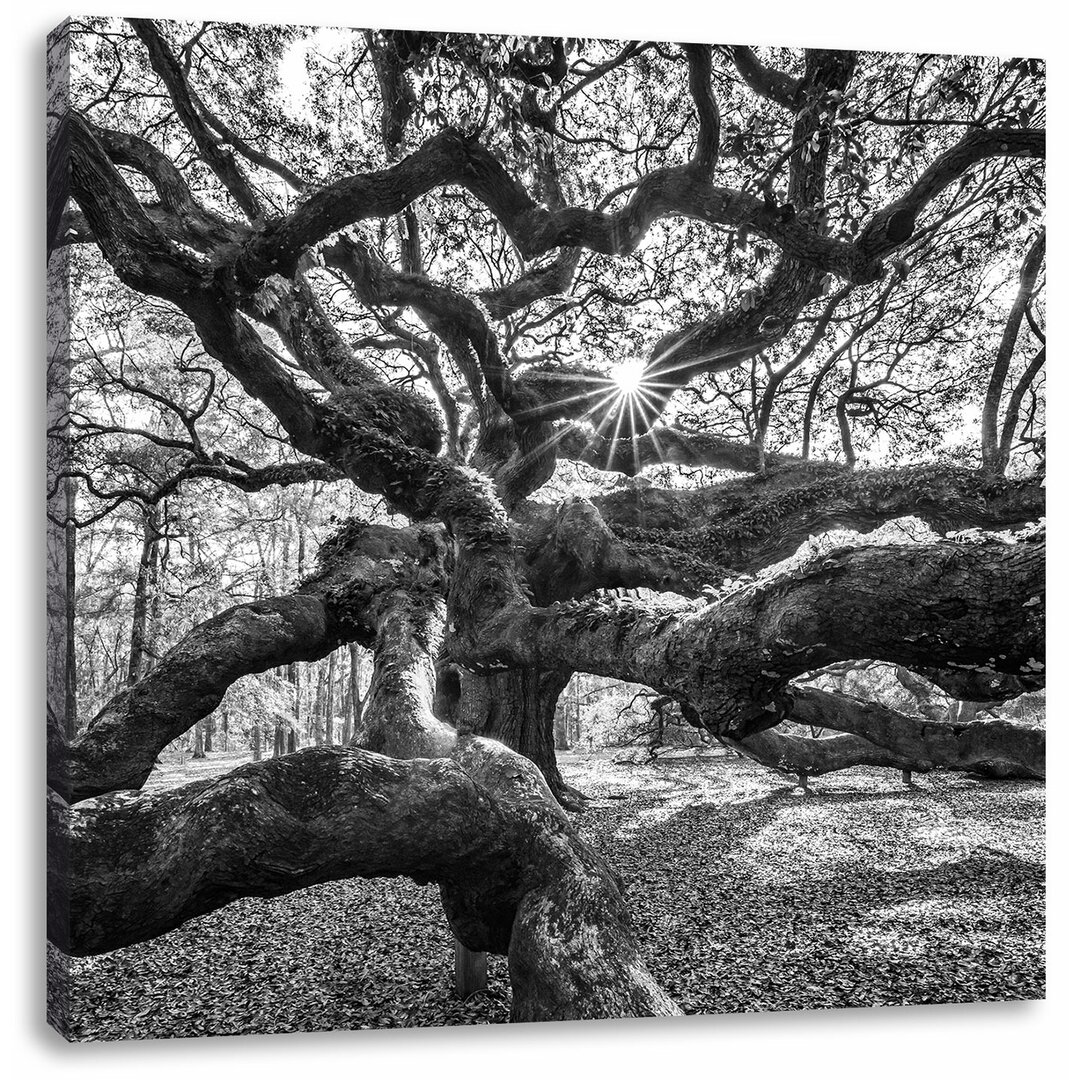 Leinwandbild Gigantisch verwzeigter Baum