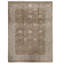 Oriental Area Rug in Gold