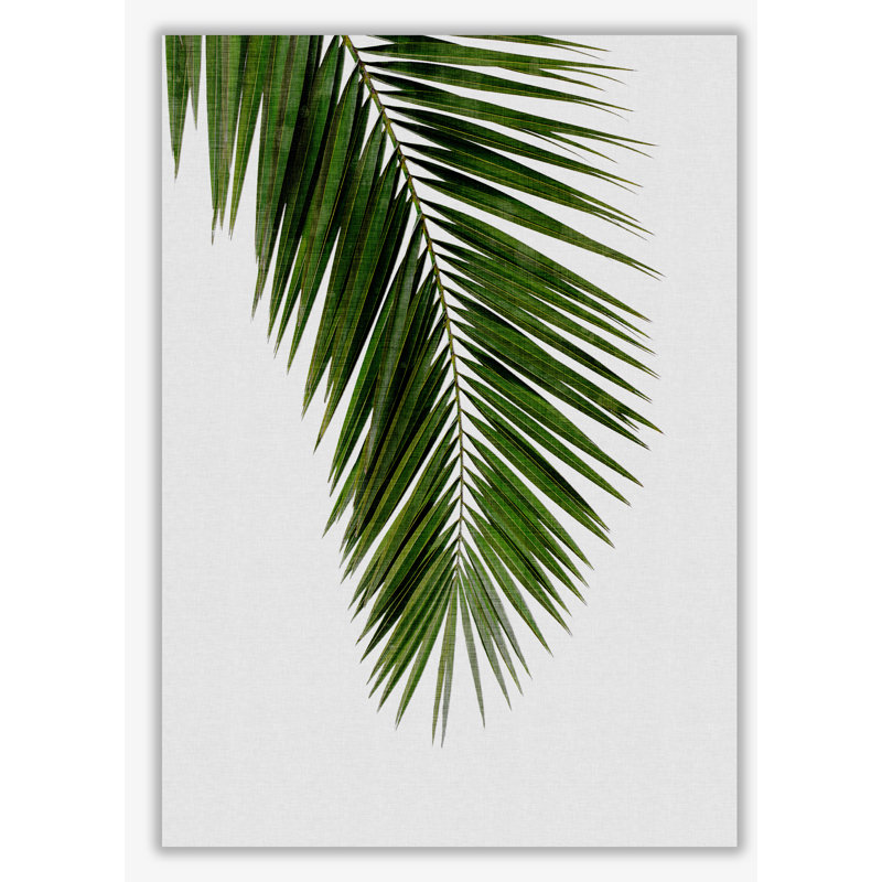 Palm Leaf I - Print, No Frame, 60 cm H x 42 cm W x 1 cm D