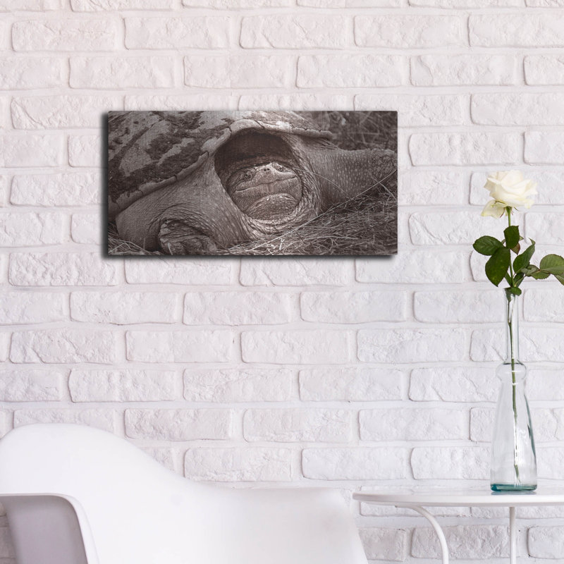 «Buffalo River 11» par Gordon Semmens, H 12 po x l 24 po