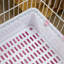 Cage avec rampe Caines Chinchilla-40463610-2584867