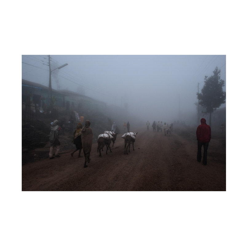 Art sur toile, "ologa bolognais ", Inoxio, H 30 po x l 47 po