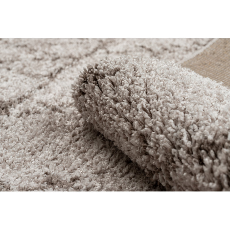 Winans Geometric Area Rug, Rectangle 180 x 270cm