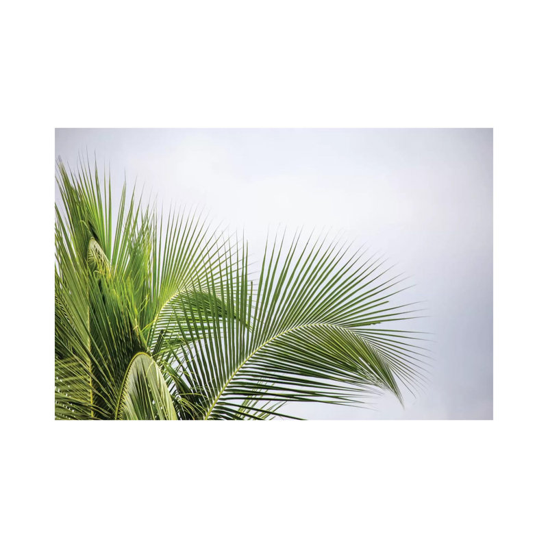 Palmier par Mark Paulda - impression sur toile tendue, H 8 po x l 12 po x P 0,75 po