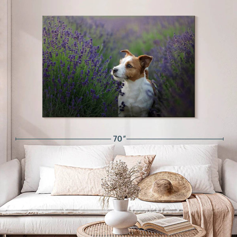 Crowle Jack Russell et lavande, H 34 po x l 51 po