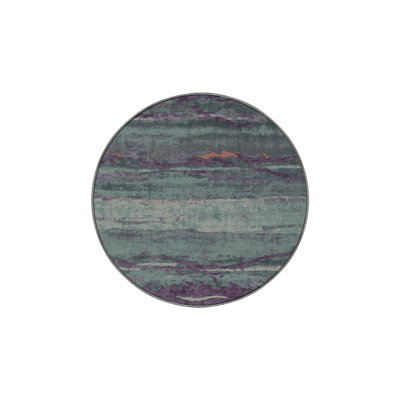 Machine Washable Gray Area Rug