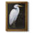 " White Heron Portrait I "-971510851