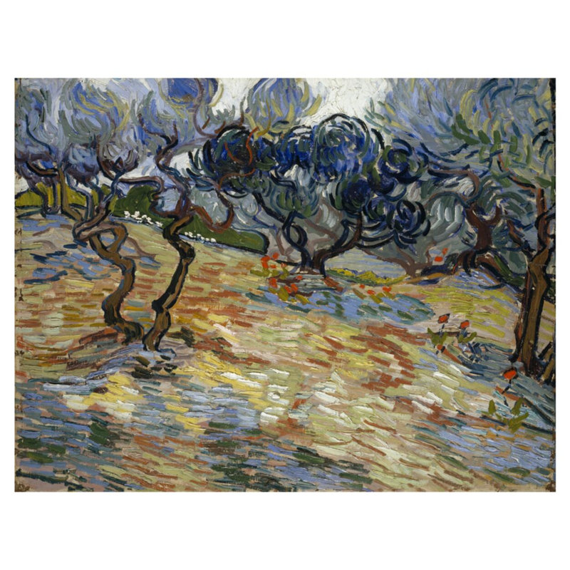Olive Trees par Vincent van Gogh - Estampe numérique, H 32 po x l 40 po