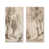 Toile tendue