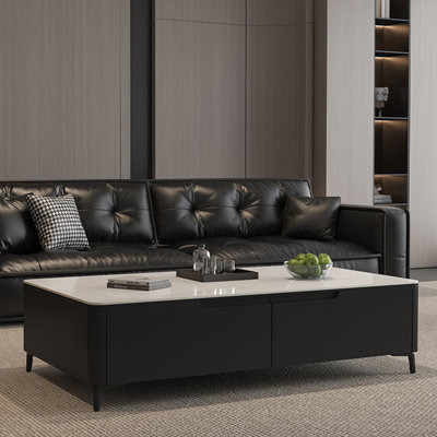 Modern rectangular rock plate coffee table