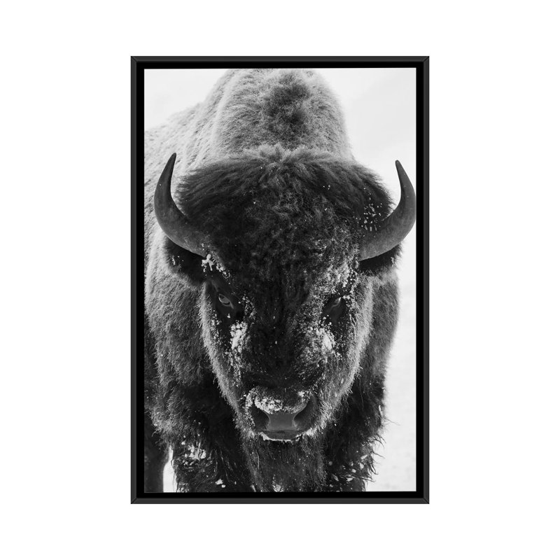 « Bison Bull givré Morning » par Ken Archer-impression d’art graphique, H 26 po x l 18 po x 1,5 po, Toile avec cadre noir