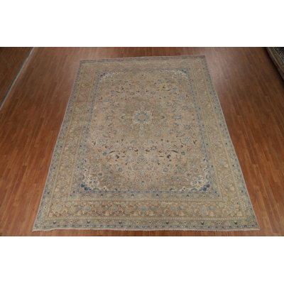 Traditional  Area Rug 10x12