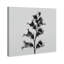 Ossified Petals I Print by Oliver Gal-1074546147-1074546159