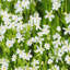 Print on Canvas-546876452