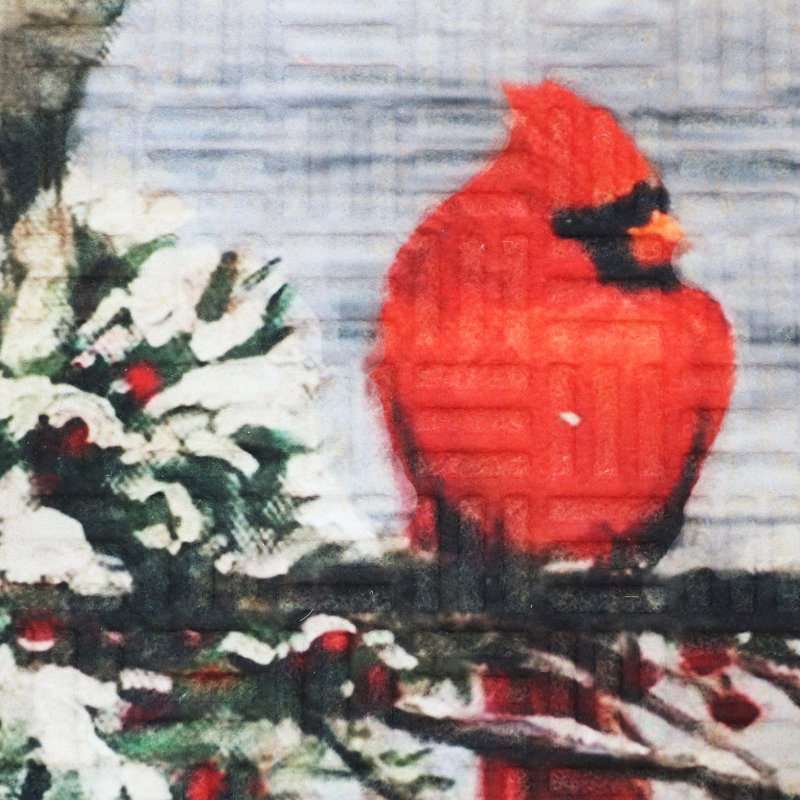 Ashbourne Holiday Winter Doormat - Cardinal, Cardinal Red