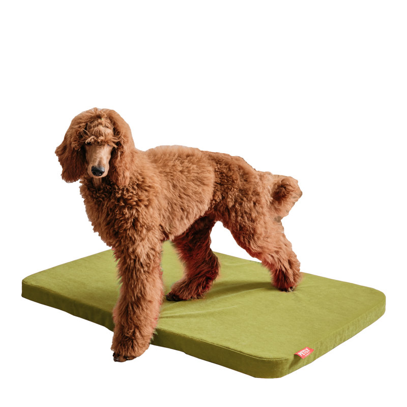 Orthopedic Microfibre Pet Bed, Green, Medium (80cm W x 60cm D)
