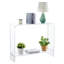 30" Acrylic Console Table with Shelf