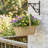 Nidus Oval Hanging Basket - Light Brown