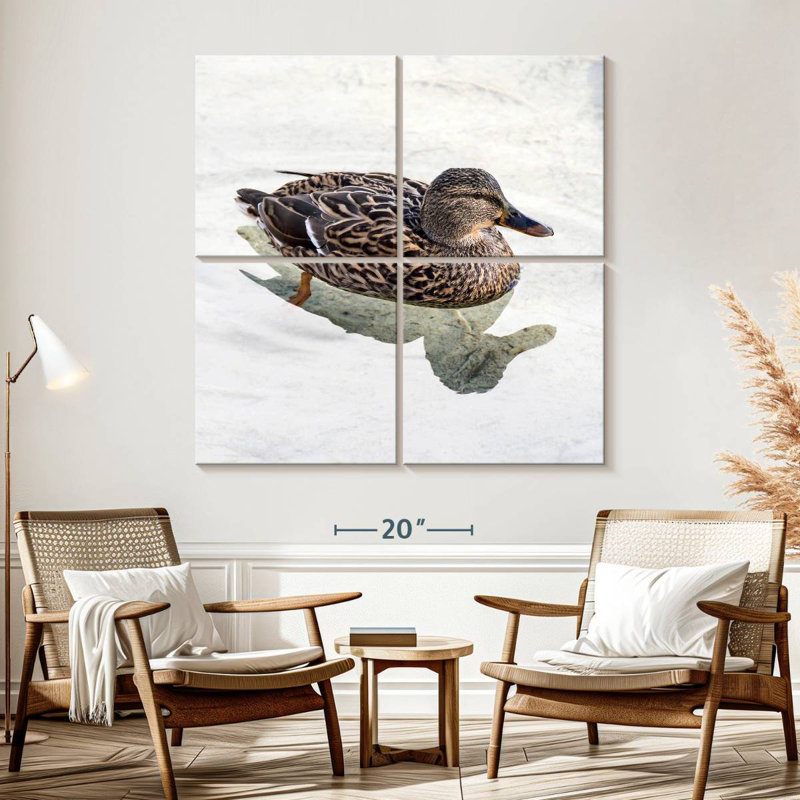 Canard colvert Brampt femelle, H 57 po x l 57 po