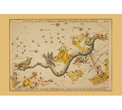 « noctua, corvus, crater, sextans uraniæ, hydra, feli » par aspin jehosaphat affiche rétro