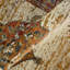 Tapis oriental à médaillon vieilli Dovev-1572983521