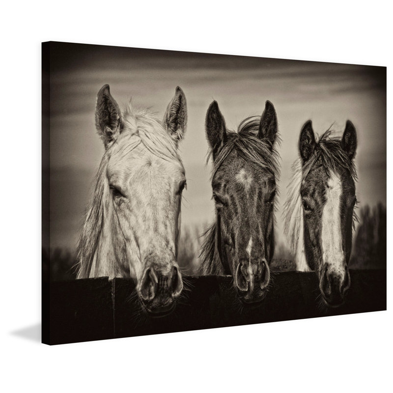 "Three Amigos I" Print on Wrapped Canvas, 20" H x 30" W x 1.5" D