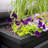 Nantucket Resin Trough Planter with Water Reservoir-64446664