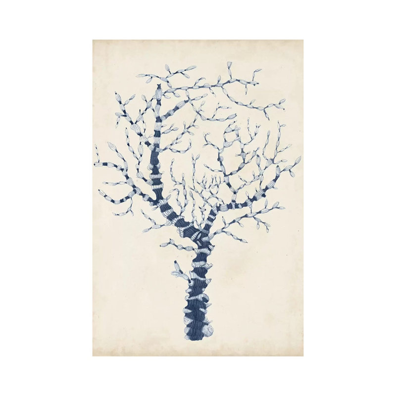 Indigo Coral II by Vision Studio - Wrapped Canvas Print, 66.04 cm H x 45.72 cm W x 3.175 cm D