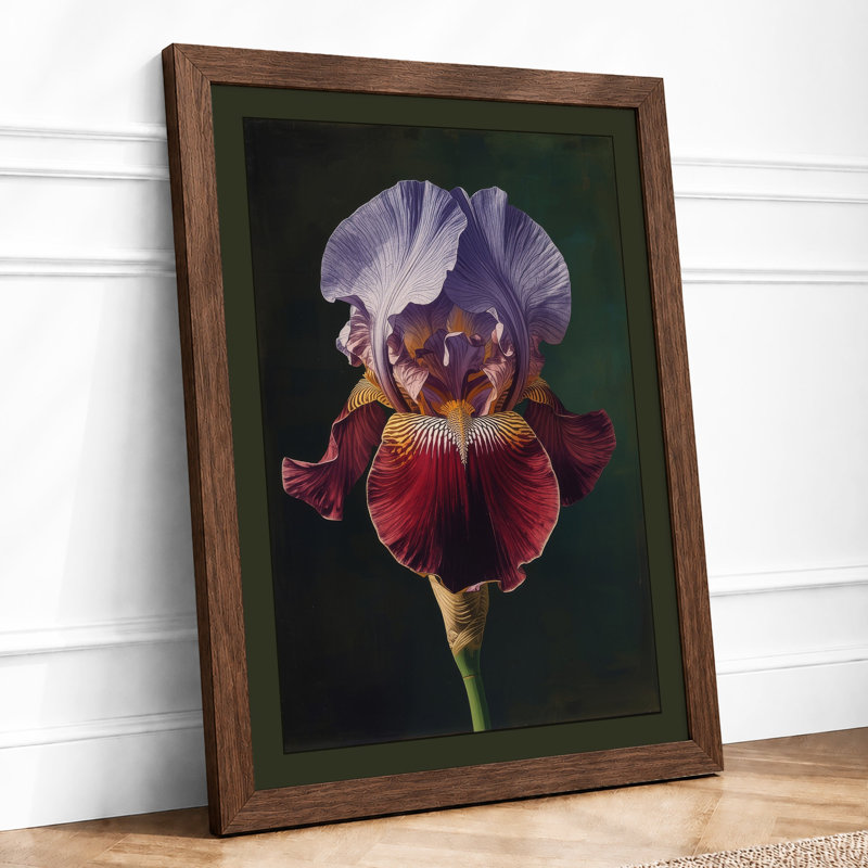 Bearded Iris Study Botanical - Framed Print, A1 - 84.1 x 59.4 cm, Walnut