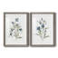 Linen Botanical III - ensemble de 2 reproductions d'art-1344163470-1408367724-1416053942