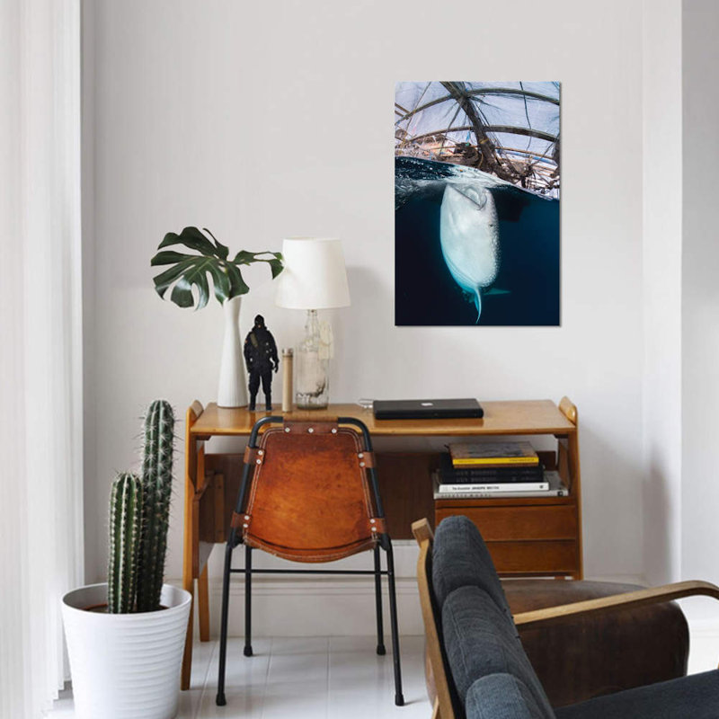 Whale Shark Sucking At Fishing Nets For Scraps Of Fish by Mathieu Meur - Wrapped Canvas Graphic Art, 26" H x 18" W x 1.5" D