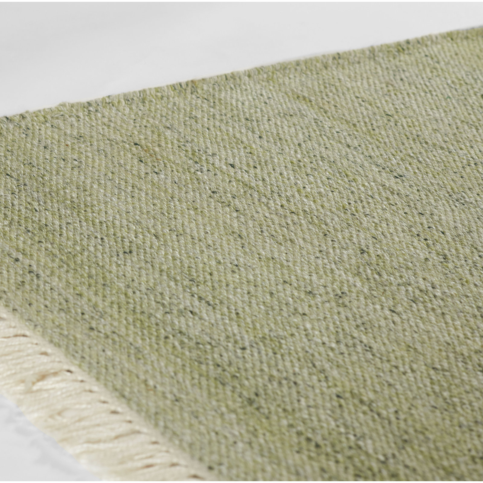 Cassandra Handwoven Indoor/Outdoor Area Rug in Green, Rectangle 2' x 3'