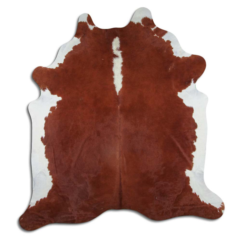 Hereford Colona