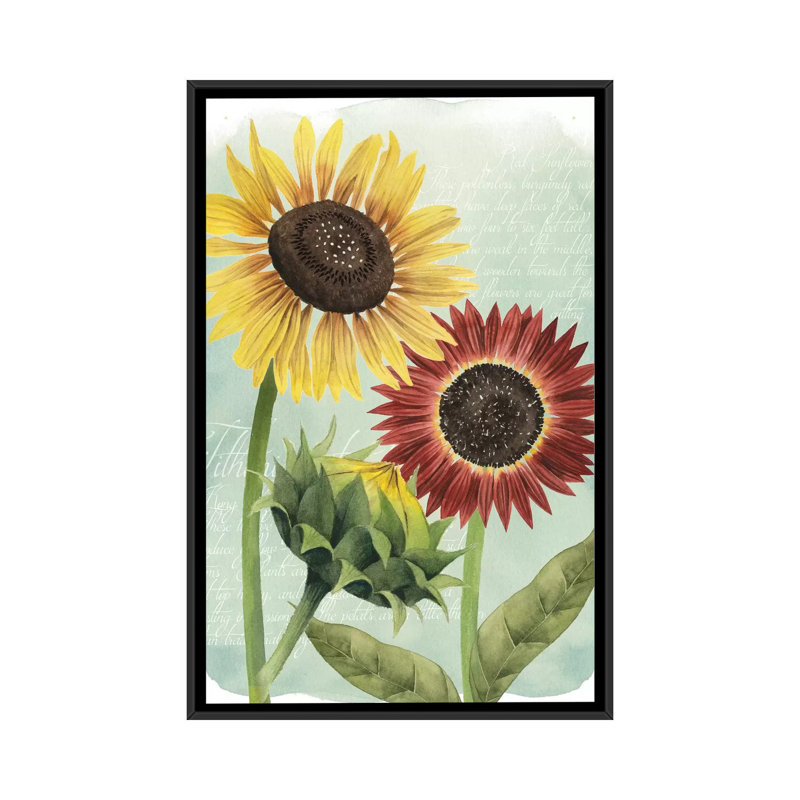«Sunflower Study II», reproduction d'art sur toile, H 26 po x l 18 po x P 1,5 po, Toile avec cadre noir, Pas de tapis