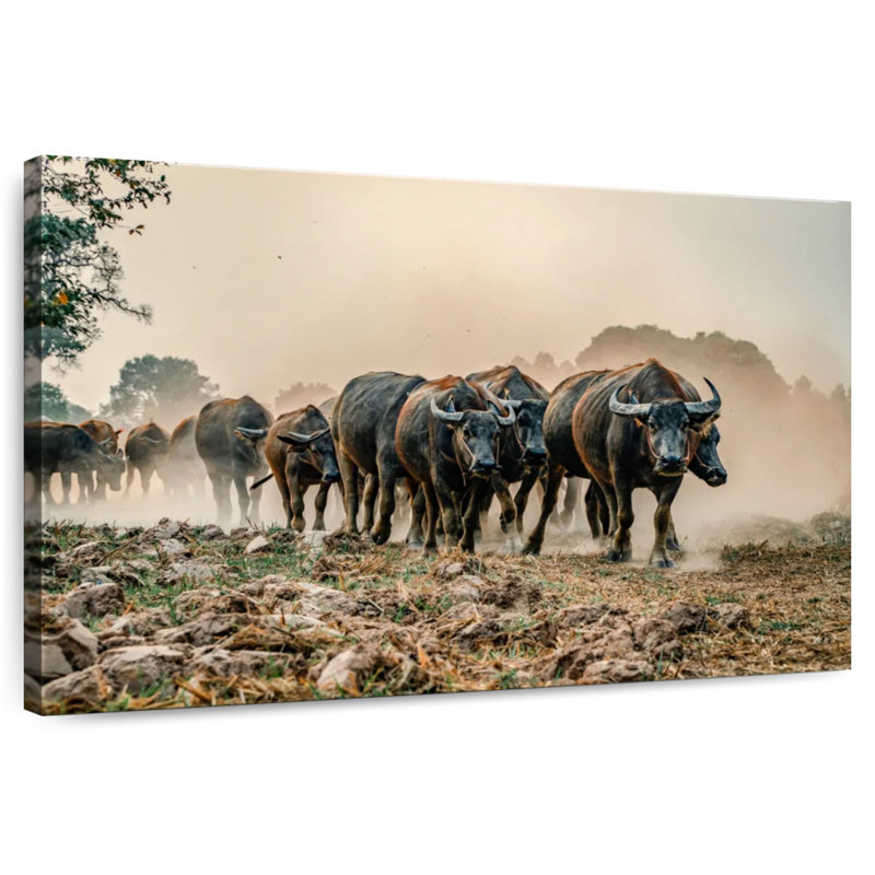 Brampt Buffalos On The Move, 8" H x 12" W