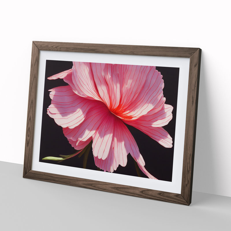 Splendorous Carnation Flower - Framed Print, 25cm H x 34cm W x 2cm D, Walnut