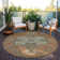 Machine Washable Indoor/Outdoor Chayden ACN1036 Rug