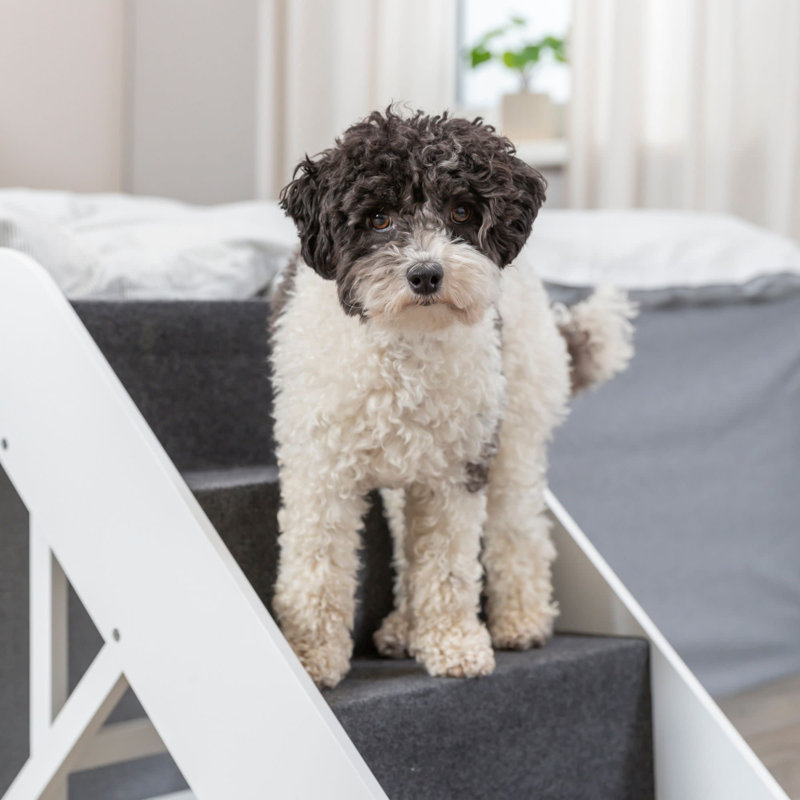 TRIXIE Pawsome Ascent 4-Step Adjustable Pet Stairs with Carpet Treads, White