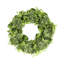 Seafoam Green Hydrangea with Budding Flower Wreath