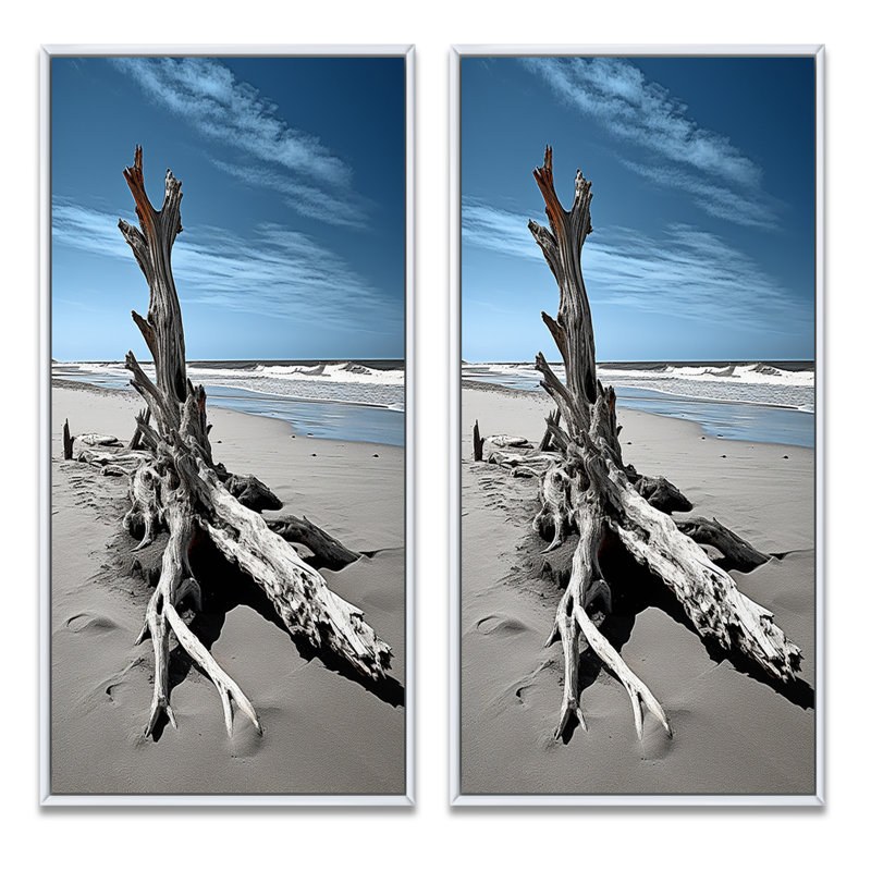 «Beach Driftwood Photo», 2 pièces sur toile, Cadre blanc, H 40 po x l 40 po