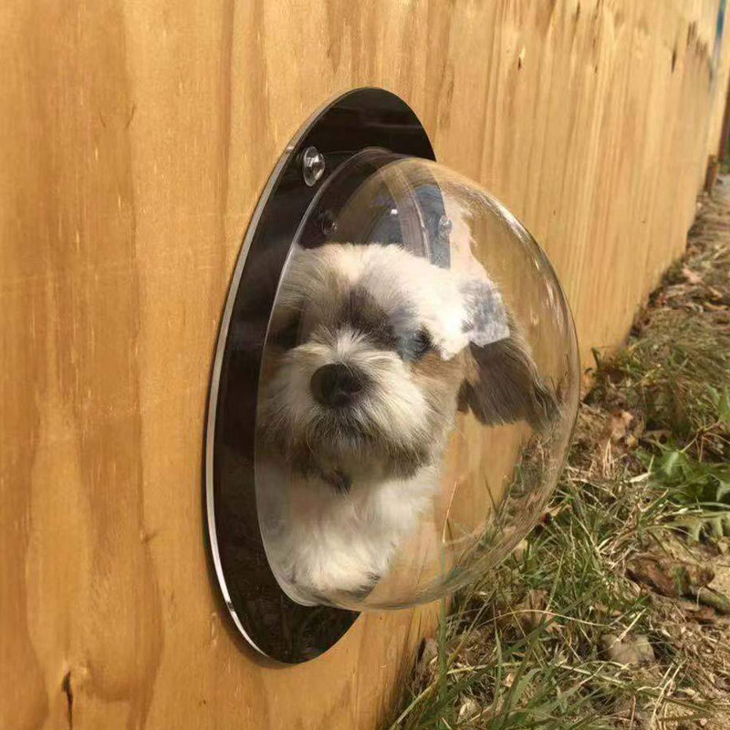 Housse transparente pour animal de compagnie