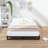 Metal Platform Bed Frame-1668286936-1651489027