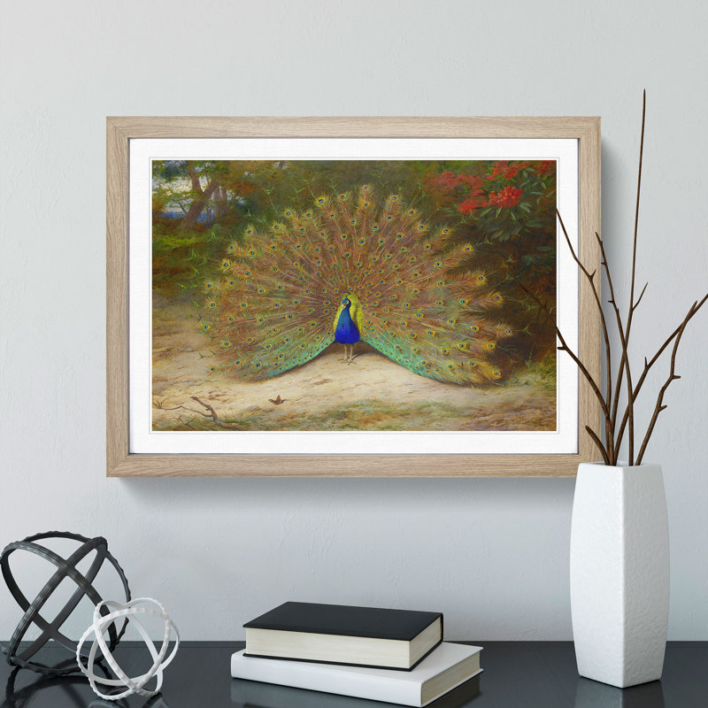 Peacock by Archibald Thorburn - Framed Print, 27cm H x 36cm W x 2cm D, Oak Framed