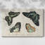 «Crackled Butterflies III», toile tendue avec châssis-1332337347