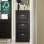 Moriah 12 Pair Shoe Storage Cabinet-881178387